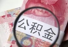 公枳金开户/注销